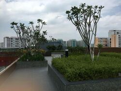 Centropod @ Changi (D14), Shop House #523710531